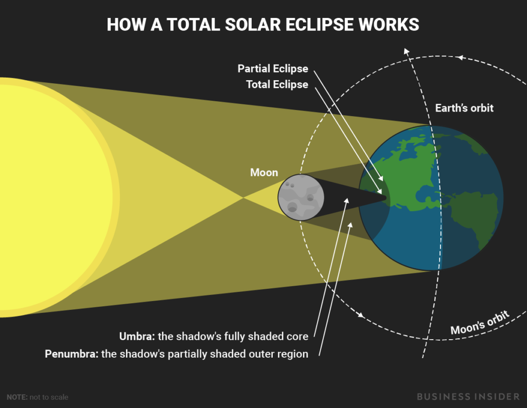 Image result for solar eclipse