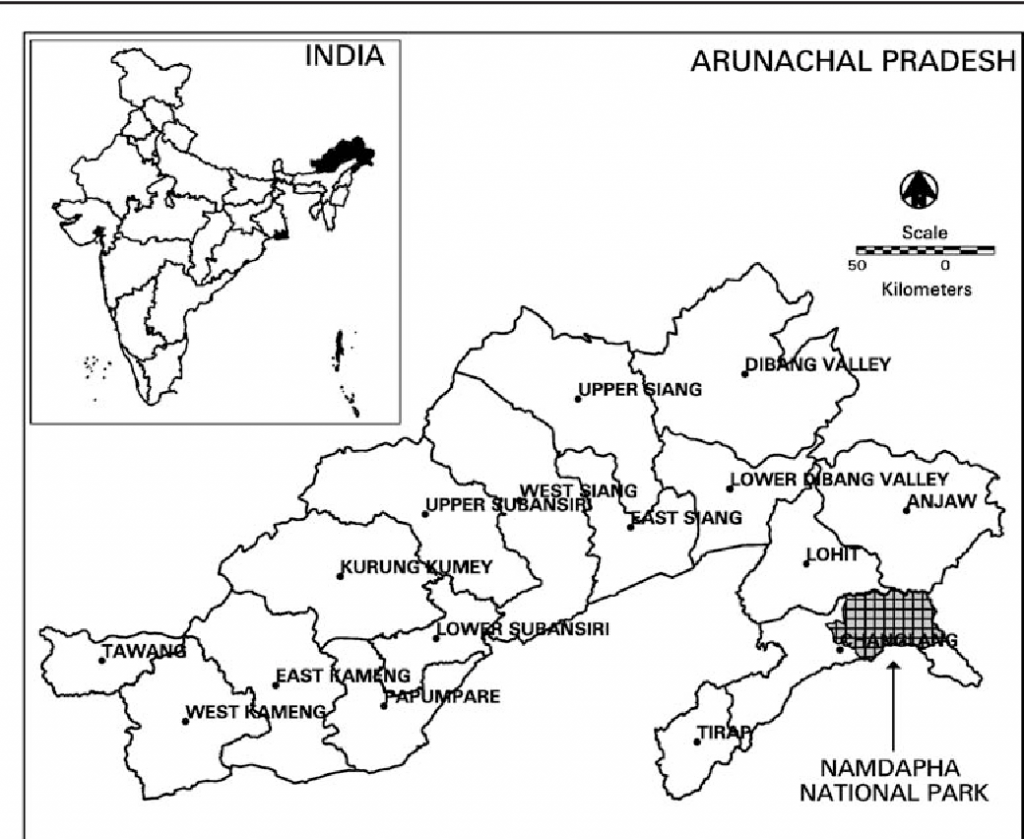 Namdhapa National Park . two more species of birds added to indian butterfly