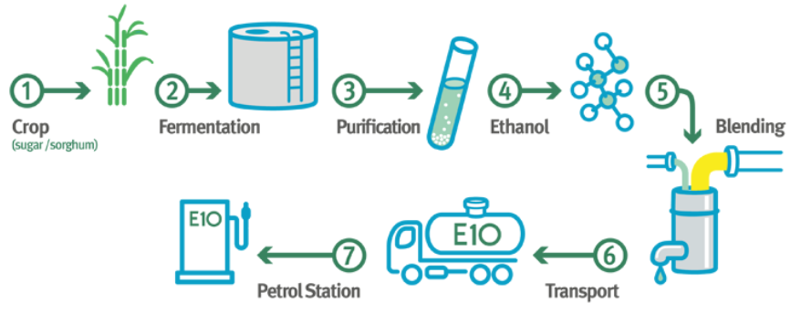 dissertation on biofuels