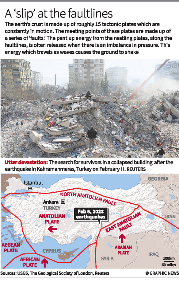 essay of earthquake in turkey