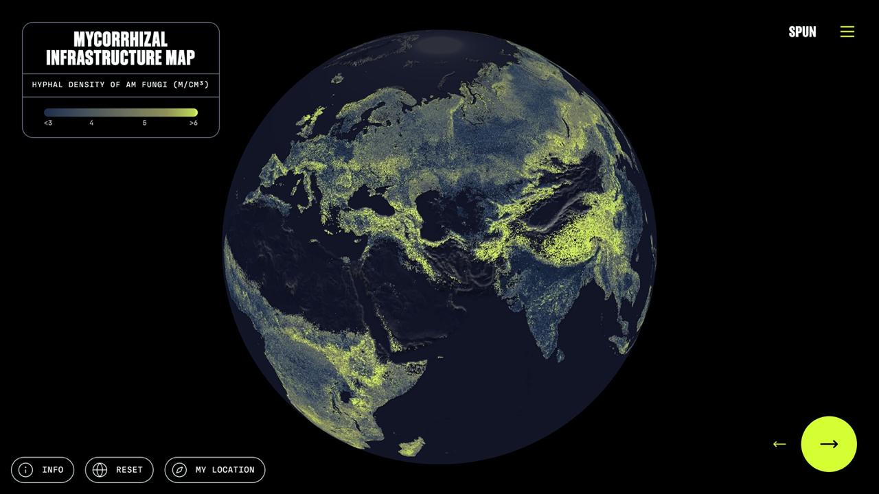 Global density map of arbuscular mycorrhizal (AM) fungal networks
